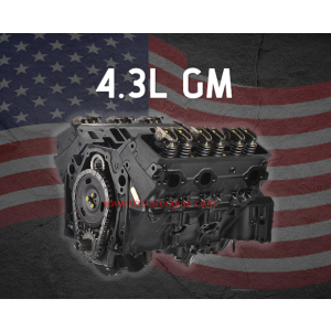 fripSide20thAnniversary 初回受注生産版 4.3L V6 OHV Chev/GM Long Block Engine for Sale | Tri Star