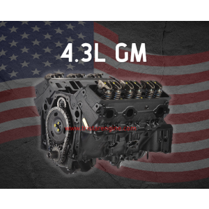 Remanufactured PROFessional Powertrain VC99 Chevrolet 4.3L/262 Engine 